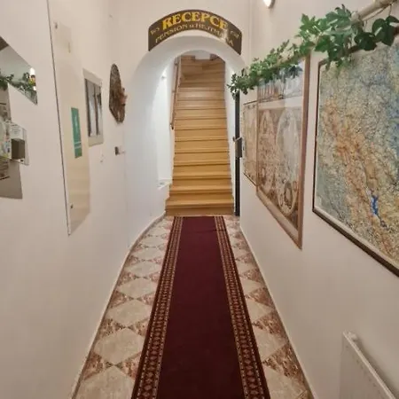 U Hejtmana 3* Klatovy